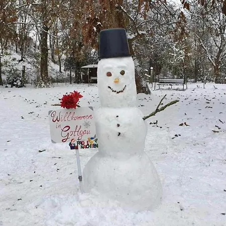 Monteurwohnung Wettin-loebejuen Appartement Lobejun